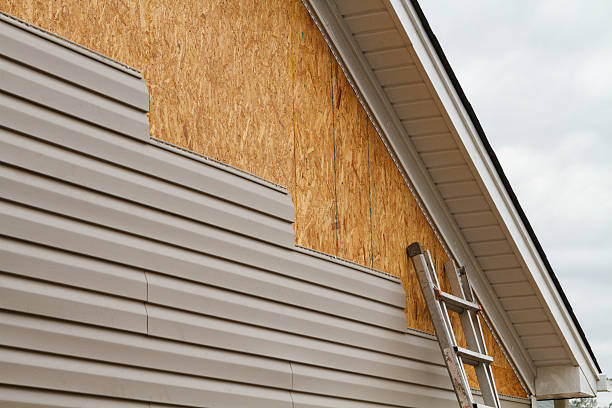 Professional Siding technician working in Robertsdale, PA